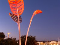 Illimunations 2021 13  Illuminations 2021