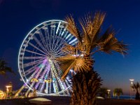 Illimunations 2021 15  Illuminations 2021