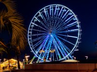 Illimunations 2021 17  Illuminations 2021