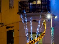 Illimunations 2021 29  Illuminations 2021