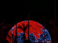 Illimunations 2021 43  Illuminations 2021