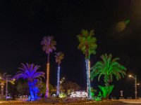 Illimunations 2021 47  Illuminations 2021