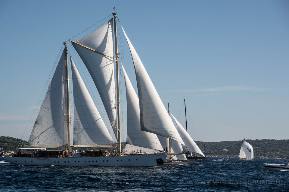 voiles St Tropez 6 10 2017 2.jpg - Saint Tropez (83) Les voiles de Saint Tropez - 06 octobre 2017.