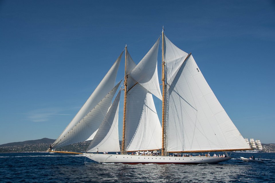 voiles St Tropez 6 10 2017 30.jpg - Saint Tropez (83) Les voiles de Saint Tropez - 06 octobre 2017.