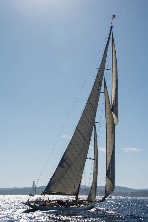 voiles St Tropez 6 10 2017 41.jpg - Saint Tropez (83) Les voiles de Saint Tropez - 06 octobre 2017.