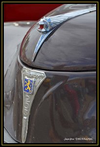Auto Retro Frejus 2016 6 Fréjus (83) - Auto Retro 2016. Peugeot 203.