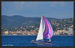 Saint Tropez 10 octobre 2015 154 copie Saint-Tropez (83) - 10 octobre 2015.