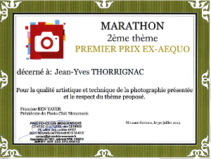 Diplome Concours Mouans Sartoux Diplome Concours Mouans Sartoux (06)
