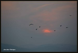 20 mars 2015 19H35 2 Fréjus (83) - 20 mars 2015 19H35.