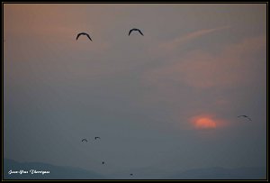 20 mars 2015 19H35 Fréjus (83) - 20 mars 2015 19H35