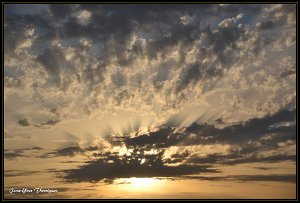 F5 6 1 4000 Iso 200 M 2 copie Fréjus (83) - 23 juillet 2016 20H40.