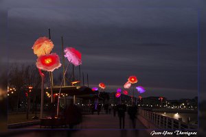 Saint Raphael Decembre 2017 10 Saint-Raphaël (83) - Fin d'année 2017