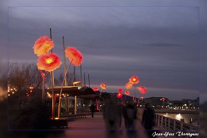 Saint Raphael Decembre 2017 9 Saint-Raphaël (83) - Fin d'année 2017