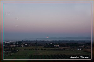 8H19 Eclipse de la lune - 21 janvier 2019 - 8H19 (La disparition de la lune saluée par les goëlands)