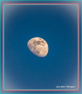 Lune 01 juin 2020 20H54 Fréjus (83) - 01 juin 2020 - 20H54