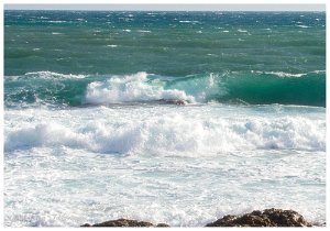 12 fevrier 2017 4 Saint-Aygulf (83) - 12 Février 2017.