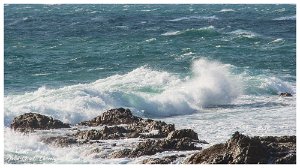 12 fevrier 2017 5 Saint-Aygulf (83) - 12 Février 2017.