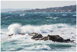 12 fevrier 2017 6 Saint-Aygulf (83) - 12 Février 2017.