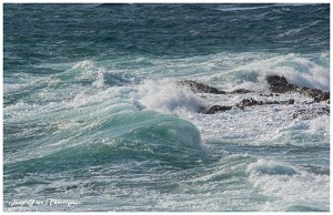 12 fevrier 2017 7 Saint-Aygulf (83) - 12 Février 2017.