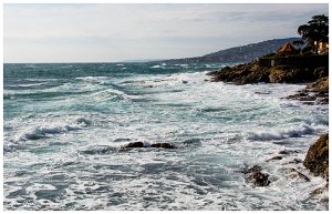 12 fevrier 2017 9 Saint-Aygulf (83) - 12 Février 2017.