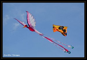 DSC 0012 bis copie Fréjus (83) - Fête du vent - 23 octobre 2016.