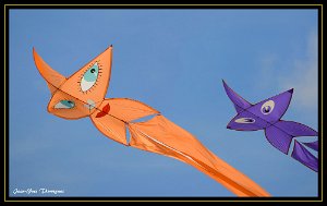 DSC 0056 bis copie Fréjus (83) - Fête du vent - 23 octobre 2016.