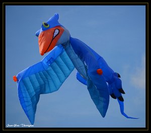 DSC 0066 bis copie Fréjus (83) - Fête du vent - 23 octobre 2016.