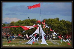 DSC 0072 copie Fréjus (83) - Fête du vent - 23 octobre 2016.